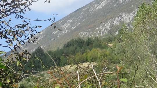 kaletinac_motivi_3_2_original